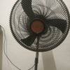 OX' Standing Fan