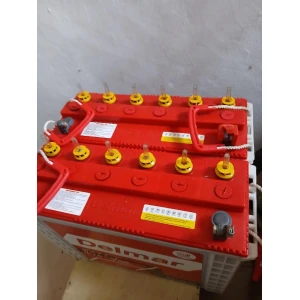 Delmar 12V 220AH "Tall Tabular Wet Batteries"