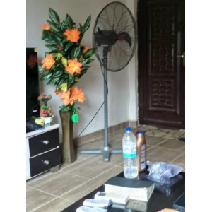 OX' 26" Standing Fan