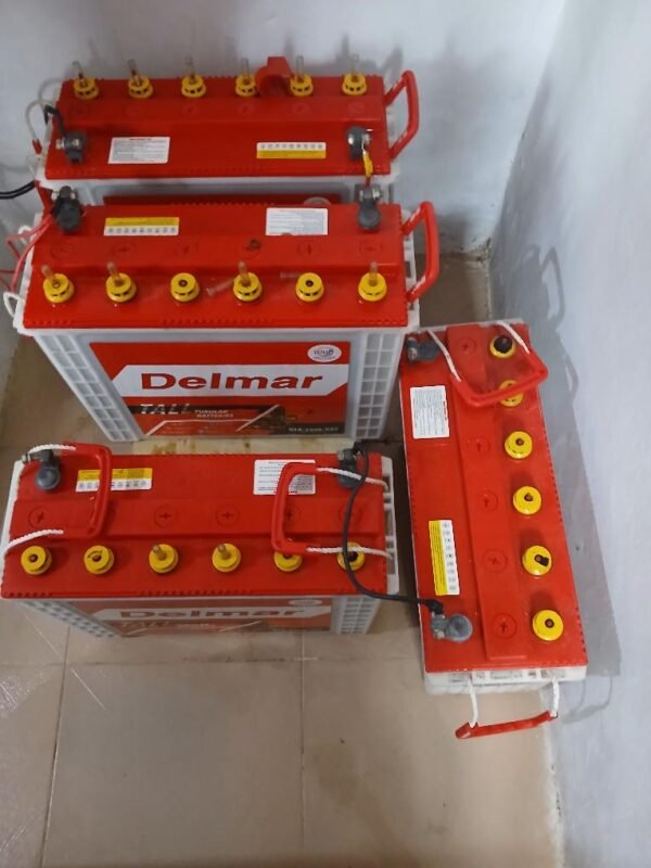 Delmar 12V 220AH "Tall Tabular Wet Batteries"