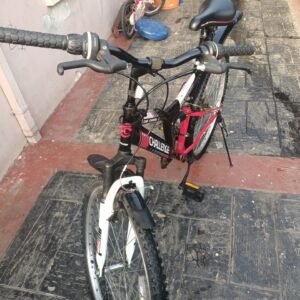 Challenge Orbit DS Mountain Bike