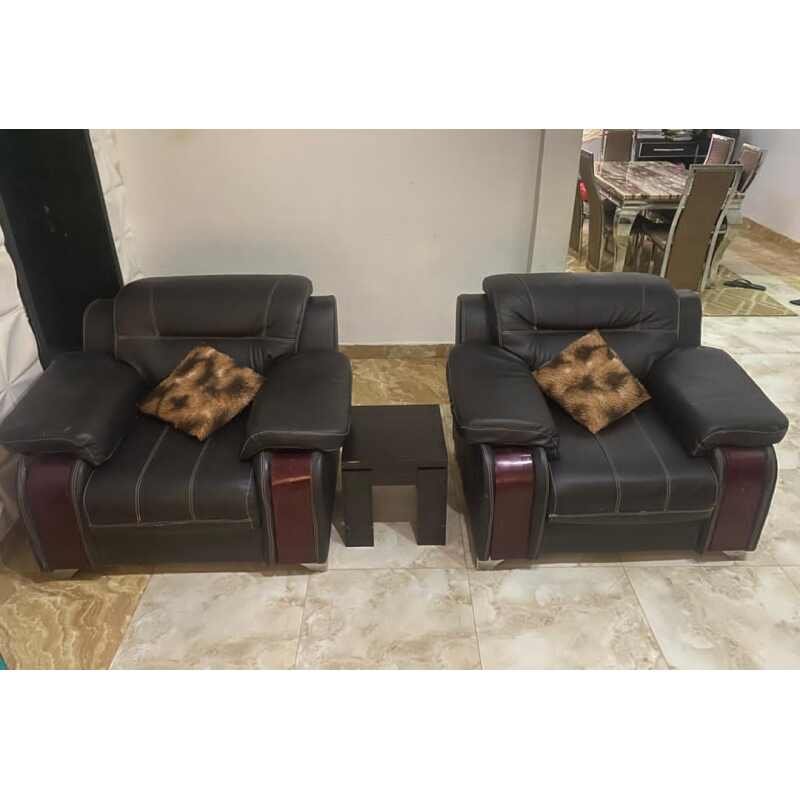 Elegant Leather Sofas - Image 3