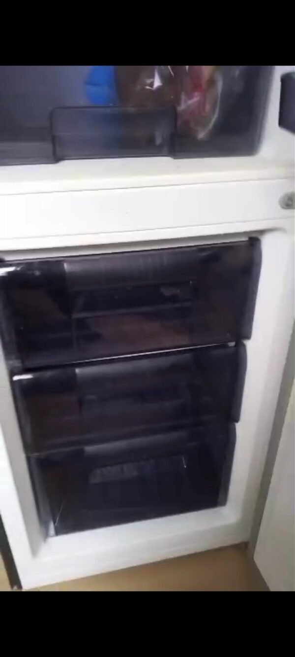 Swan Twin Refrigerator - Image 4