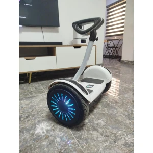 Mini Self-Balancing Electric Scooter