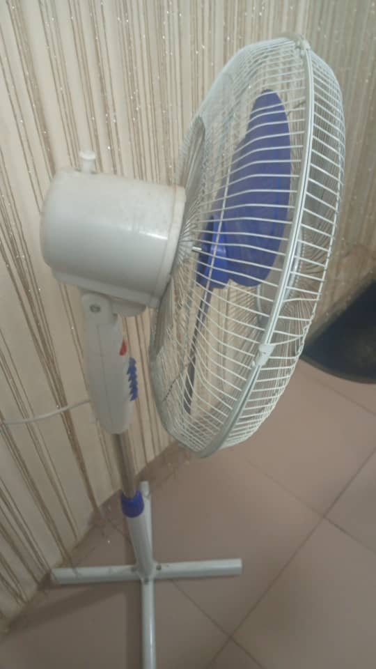 Polystar Standing Fan